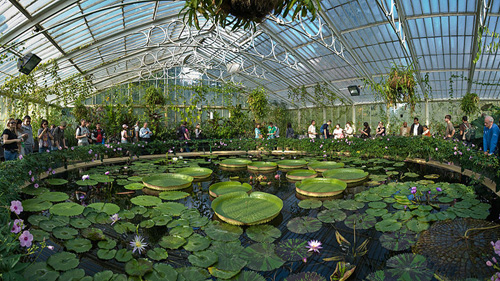 Travel to London: Kew Royal Botanic Gardens